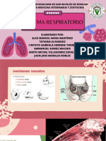 Sistema Respiratorio