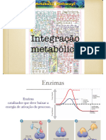 Integração Metabólica