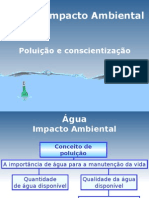 Poluição Da Água