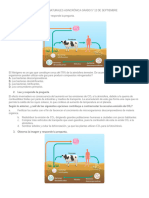 Taller de Refuerzo Asincrónica Grado 5