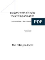 Nitrogen Cycle