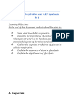 Cellular Respiration and ATP Synthesis PT 1