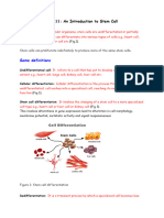 An Introduction To Stem Cell