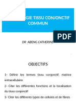 L'histologie Du Tissu Conjonctif Commun