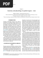 Anatomy and Physiology of Genital Organs - Men