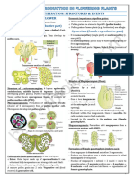 2 Sexual Reproduction in Flowering Plants - Capsule Notes