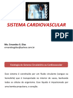 07 - Sistema Cardiovascular