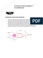 CBSE Class 10 Science Notes Chapter 7 Control and Coordination