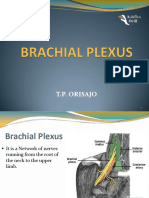 Brachial Plexus Achilles Drill