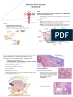 Aparato Reproductor Femenino I Apuntes