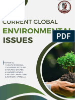 Current Global Environmental Issues