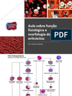 Aula Sobre Função Fisiológica e Morfologia Dos Eritrócitos: Prof. Chaiane Moraes