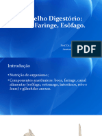 PDF Digestorio I Boca Lingua Esofago Dente