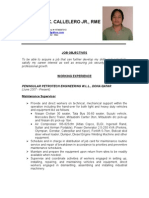 Napoleon C. Callelero JR., Rme: Job Objectives