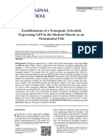 Transcrição in Vitro