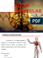 Sistema Cardiovascular 2