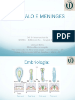 2encefalo E Meninges 240815 080316