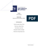 Pautas para Presentar El Trabajo Físico de Su Exposición (Investigación)