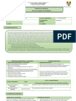 Experiencia de Aprendizaje Del Ciclo Vi