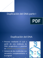 Duplicación Del DNA