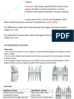 Summary of Descriptive Dental Anatomy