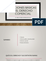 Nociones Básicas Del Derecho Comercial