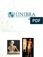 Anatomia Ibgm Osteologia