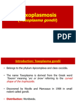 Toxoplasma Gondii Class