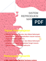 Reproduksi Pada Manusia