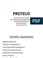 Proteus BSCMLT