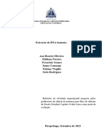 2° EMTI 1 - Grupo 11 - DNA Humano - Feira de Ciências 2023 - Prévia Do Relatório Experimental