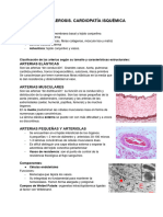 T14 Anatomía Patológica