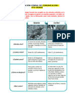 Ii - Evaluación Censal de Comunicación - 4to