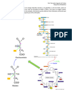 Estudo Dirigido Prova I BioquÃ Mica