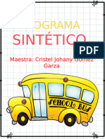 Programa Sintetico Diagnostico