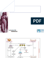 4 NG 2016-Cours DES-Perfusion Renale