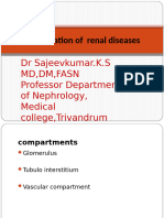 Classification of Renal Diseases