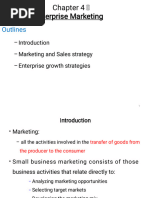 Chapter 4 Enterprise Marketing Z