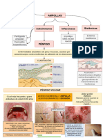 Ampollares Drawio