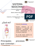 Sistema Endocrino