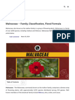 Malvaceae - Family, Classification, Floral Formula and Diagram