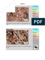 Minerals in Thin Section - 1