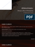 Arbovirozespptx