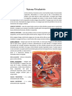 Sistema Circulatório - Generalidades