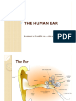 The Ear & PsychoAcoustics