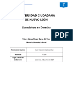 Ensayo 1 Sem1 Laboral