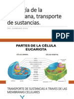 Transporte A Traves de Membranas y Potencial de Acción