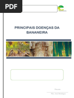 Trabalho de Fitopatologia 7