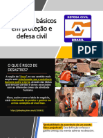 III - Slide - Conceitos Basicos em Protecao e Defesa Civil