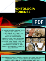 Odontología Forense Ii Fase X Sem 24